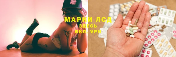 ГАЛЛЮЦИНОГЕННЫЕ ГРИБЫ Заводоуковск